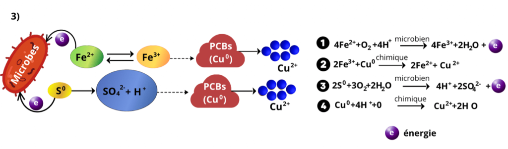ADIMAS | Processus chimiques lors de la biolixiviation des PCB