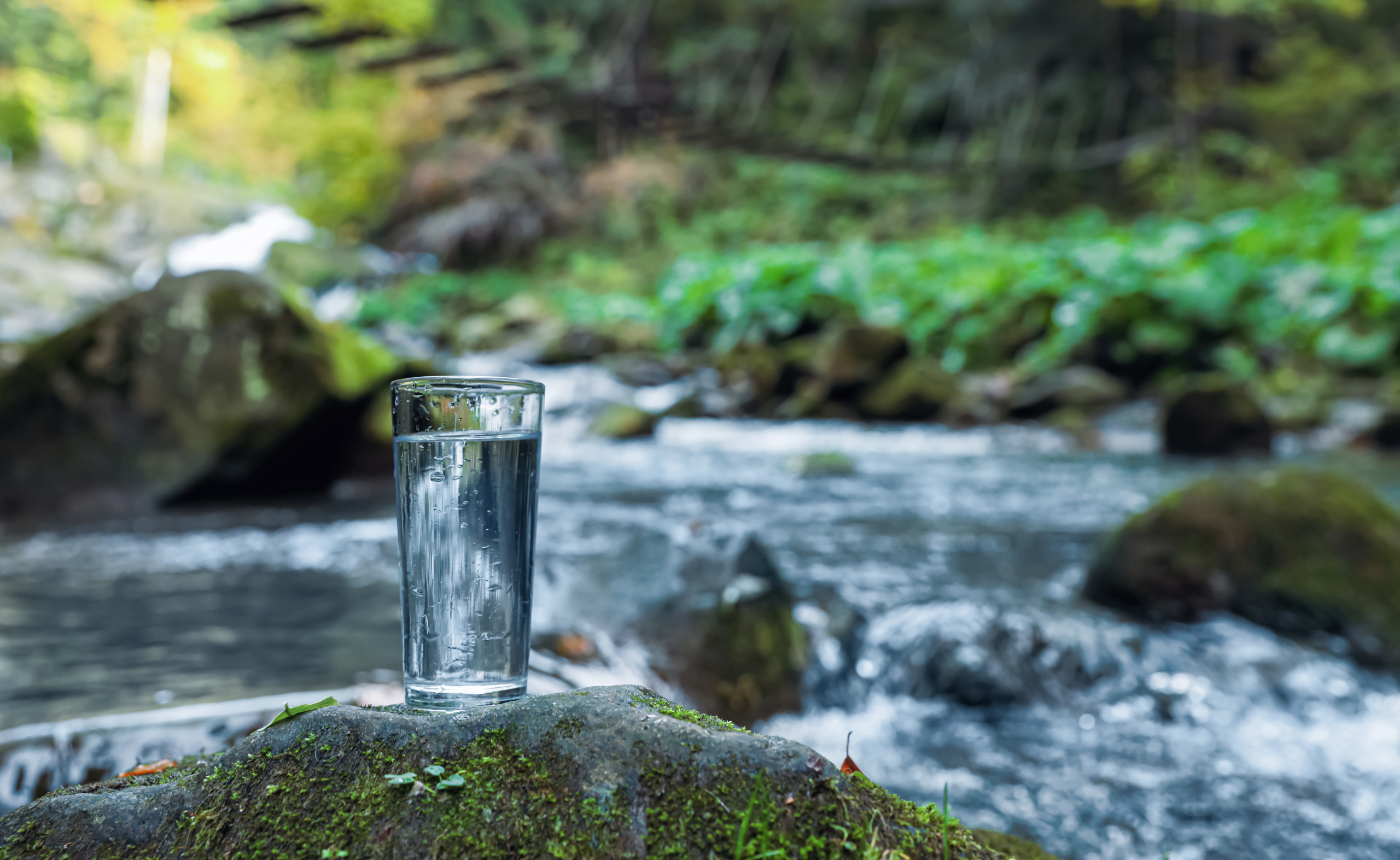 ADIMAS | Eau Vivante ou Morte - Choix Invisible pour la Santé